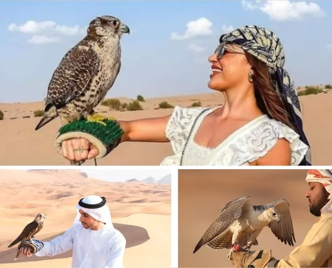 Camel Ride Desert Dubai